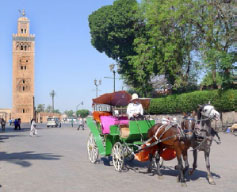Cal&egrave;che and the Koutoubia minaret, Marrakech