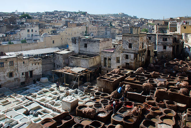 Chouara Tannery, Fez